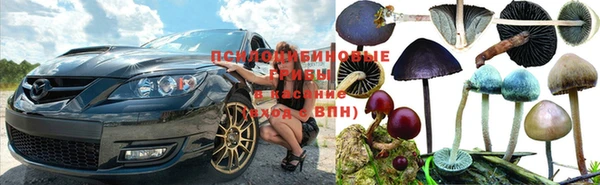 шишки Богородицк